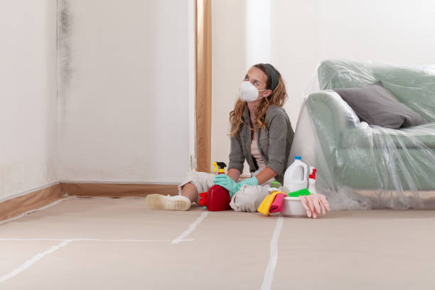 Reliable Attic Mold Removal contractor in Raleigh, NC by WQB Mold Removal